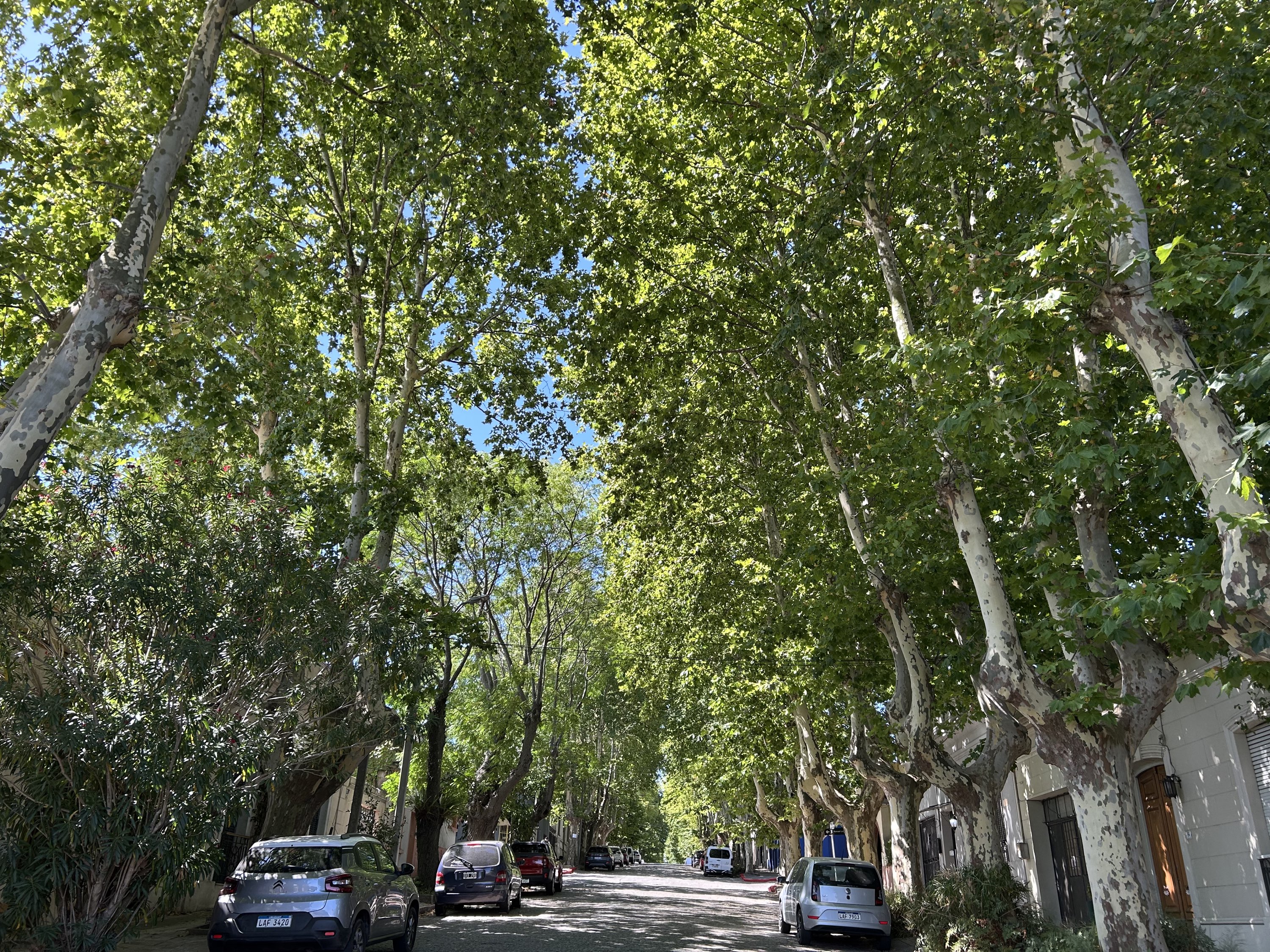 2026 Jan 4-6: Colonia de Sacramento