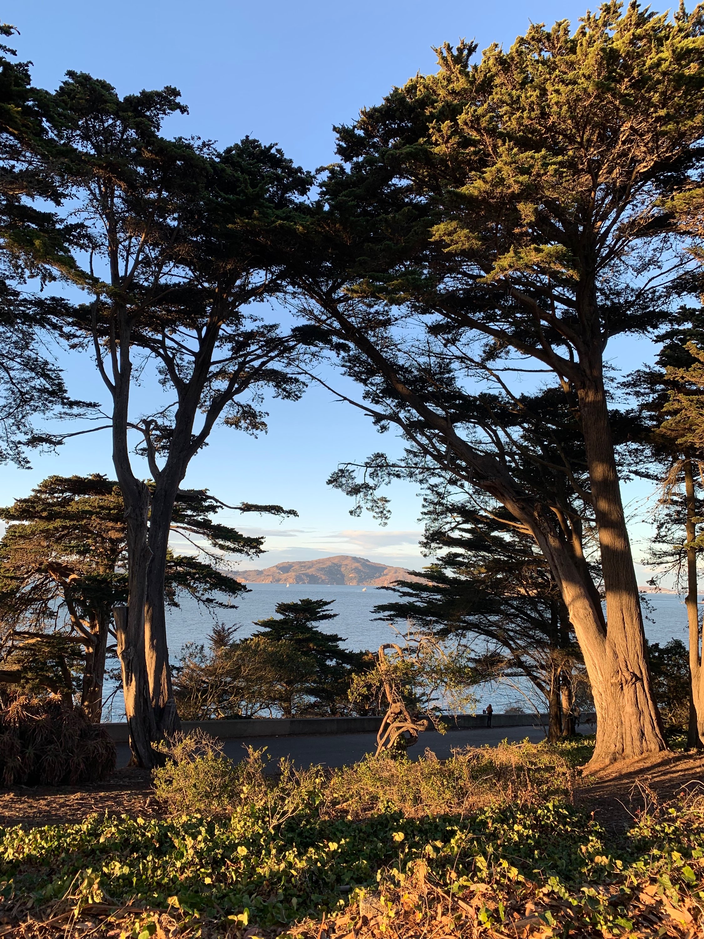 Nov 10-15: SF days 6-11