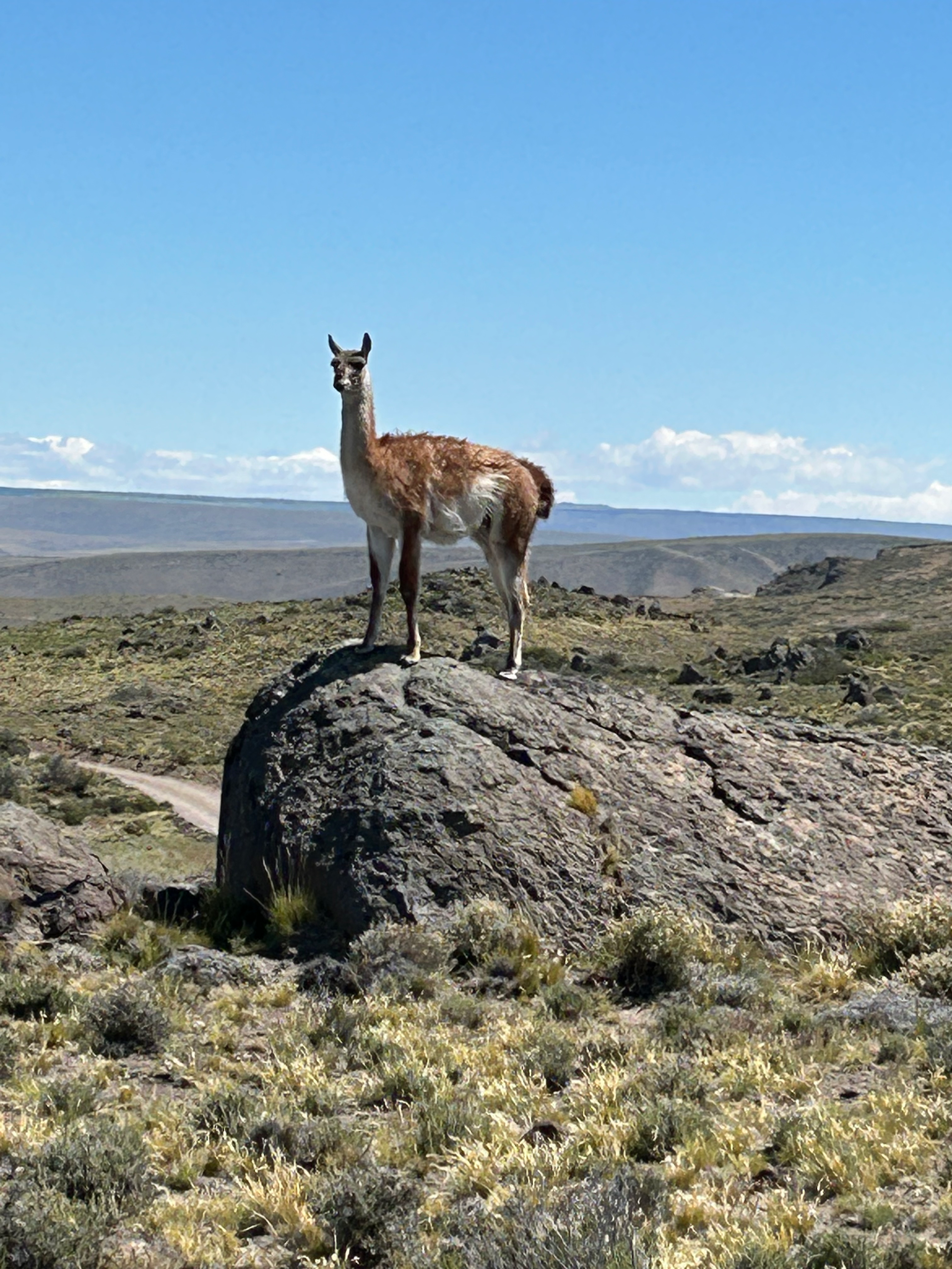 2025 Nov 11-13: Parque Patagonia